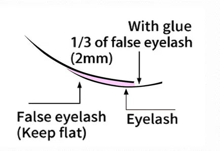 1 Bottle Korea Lady Black Glue for Eyelash Extensions 5ml Original Professional False Lash Adhesive Suppliers Makeup Tools Shop